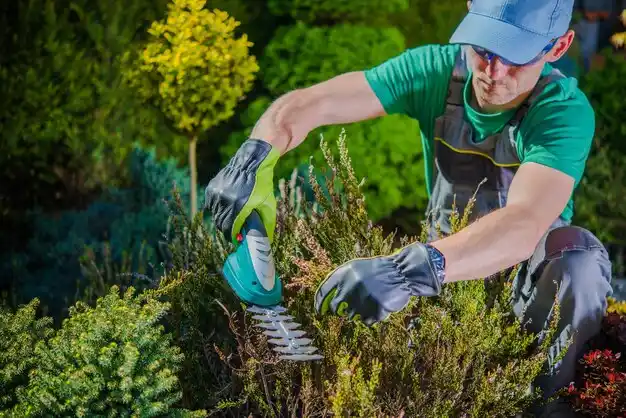 landscaping services North Corbin